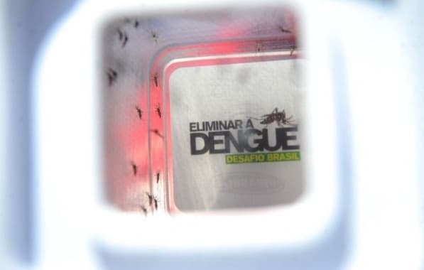 Seis a cada dez pessoas com dengue no mundo são brasileiras, indica OMS