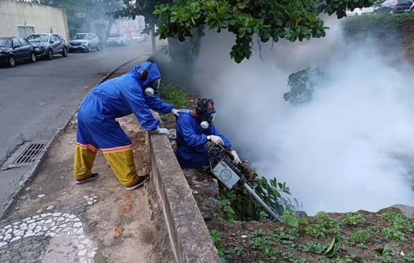 Secretaria da saúde prossegue com ações contra dengue nos circuitos do Carnaval nesta segunda