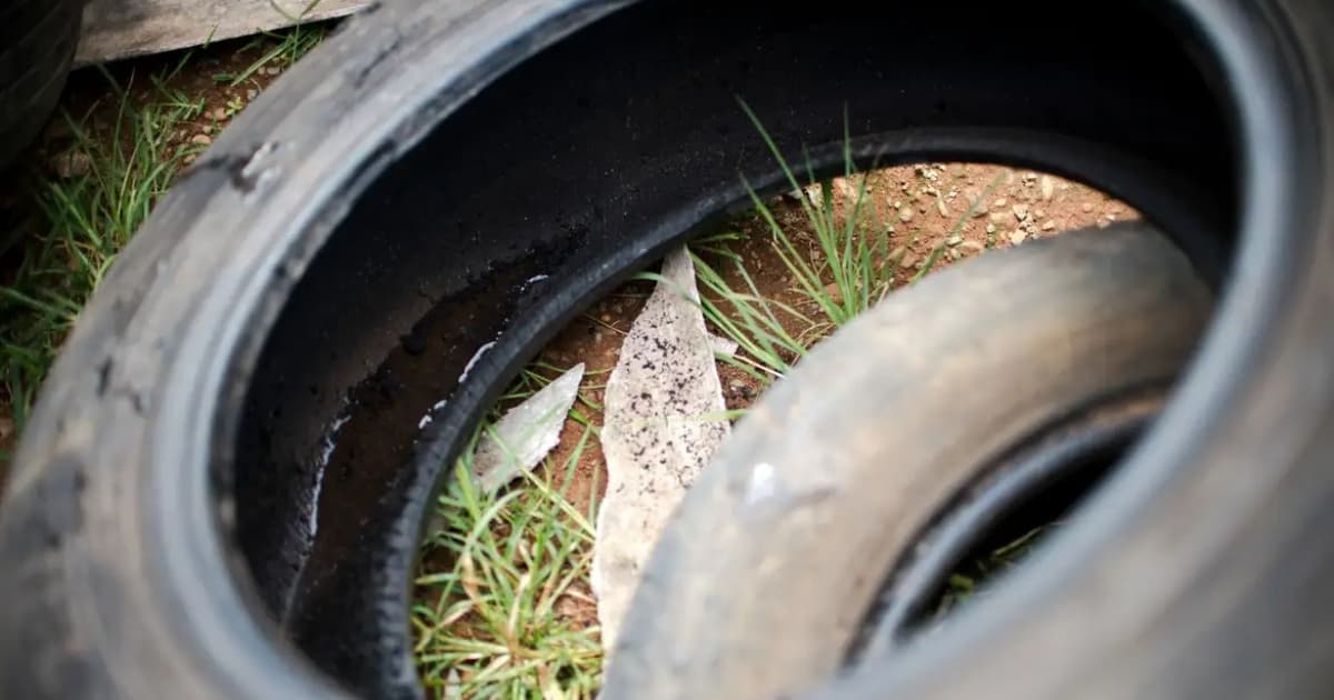 Bahia registra terceira morte por dengue