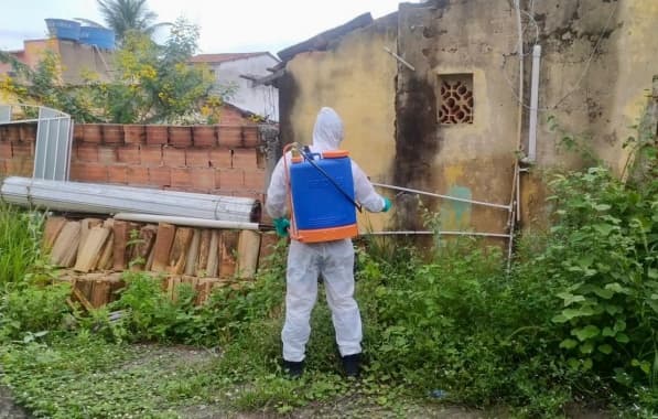 Sobe para 14 o número de mortes por dengue na Bahia
