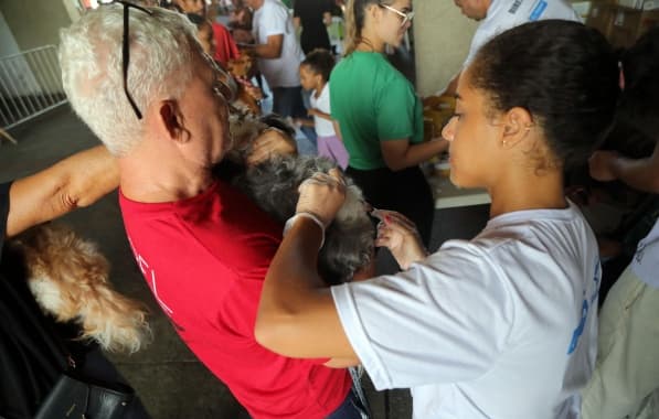 Vacina V10 é ofertada gratuitamente para cães no Parque da Cidade, em Salvador 