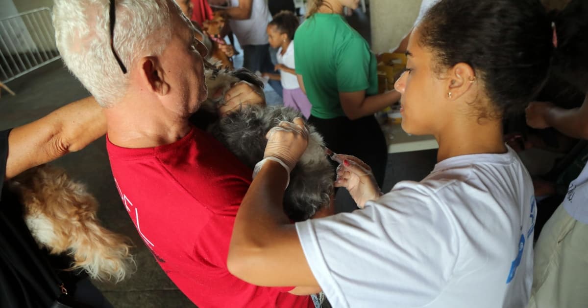 Vacina V10 é ofertada gratuitamente para cães no Parque da Cidade, em Salvador 