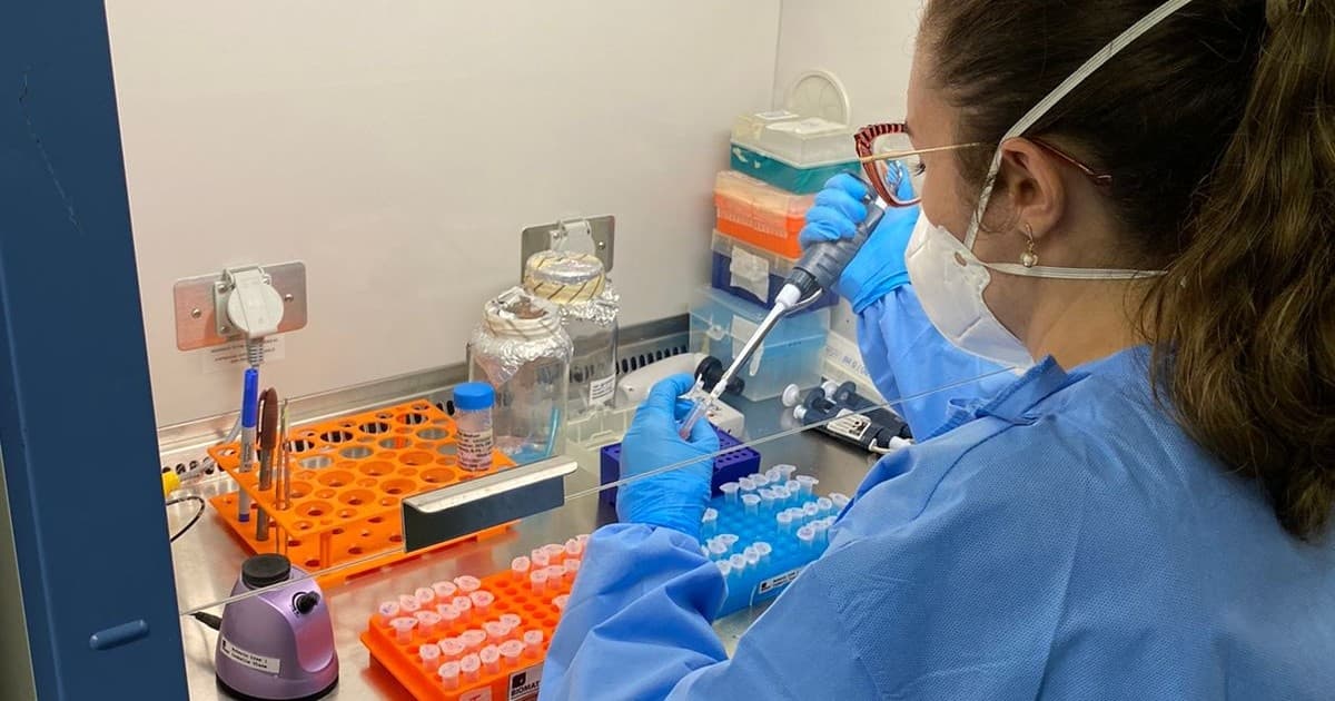 Vacina de DNA contra o zika tem bons resultados durante testes com camundongos