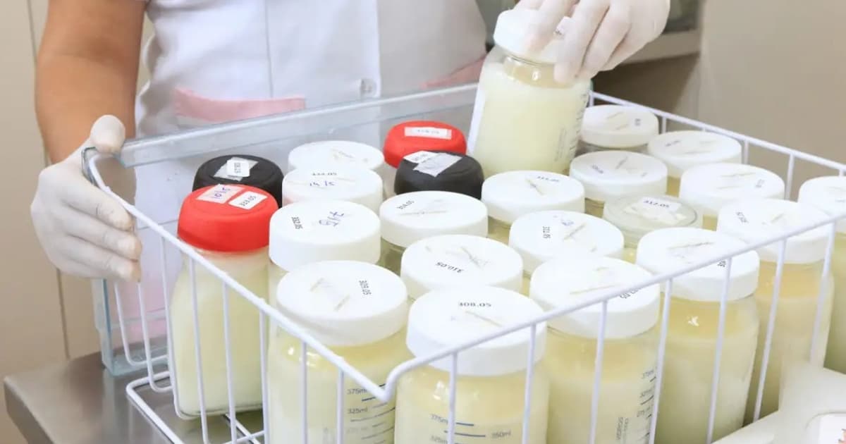 Maternidade de Salvador é premiada por inovação na coleta de leite humano