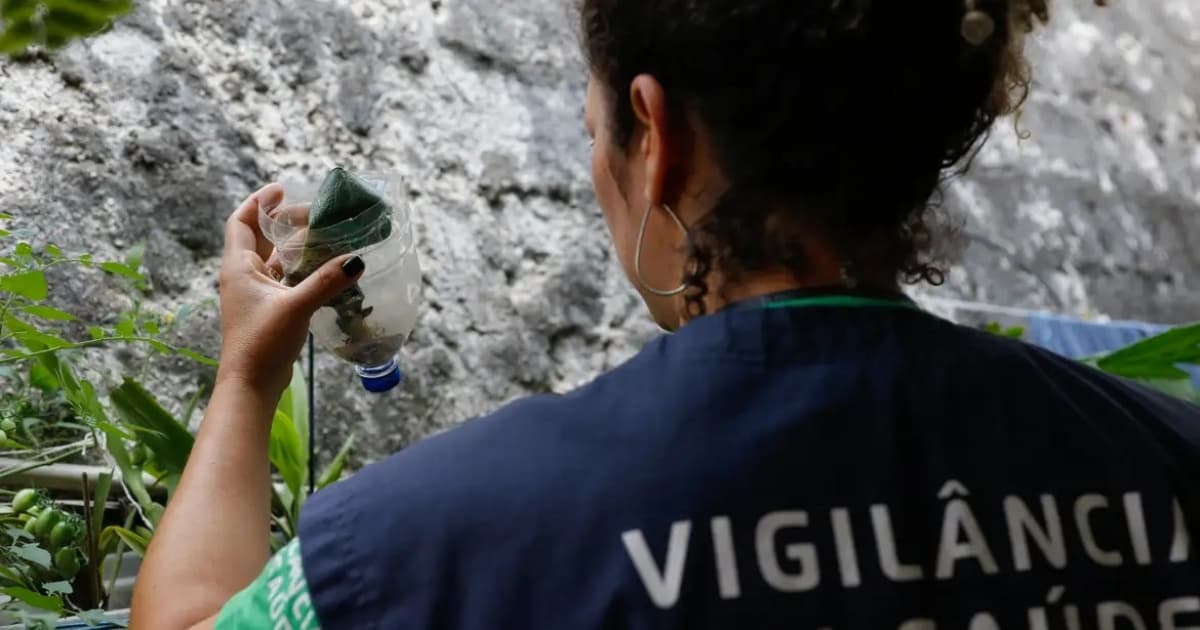 Bahia registra 138 mortes por dengue; Vitória da Conquista lidera número de casos 