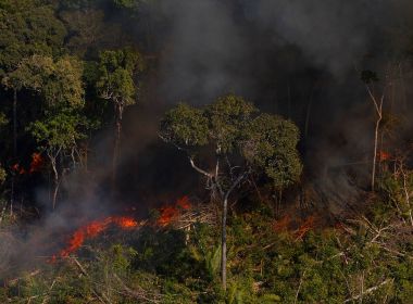 Governo utiliza informação falsa ao dizer que queimada no Brasil é a menor em 18 anos