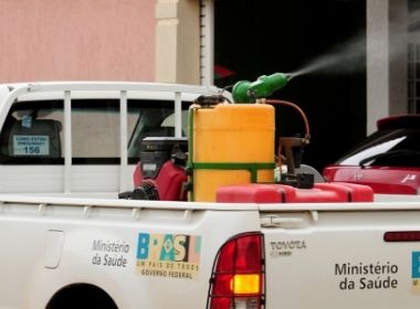 Doenças virais: Dengue tem alta no Brasil em 2020