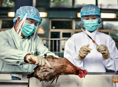 Gripe aviária: China registra primeiro caso de infecção humana da cepa H3N8
